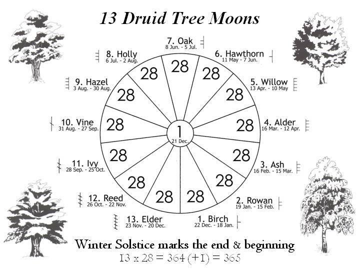 Birth Tree Chart